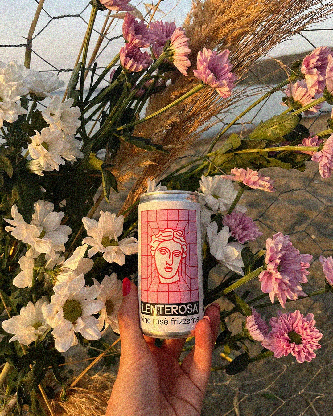 Sparkling Rosé